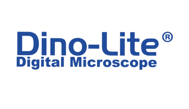 Logo Dinolite